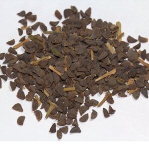 Peganum harmala seeds | Syrian Rue