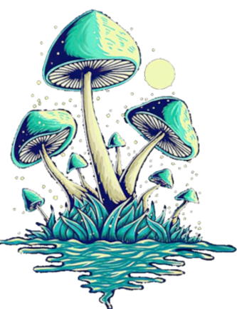 New Mexico psilocybin Store