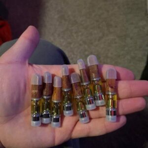 DMT CARTS 1g